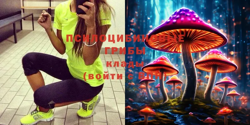 Галлюциногенные грибы Psilocybine cubensis  KRAKEN рабочий сайт  Цоци-Юрт  даркнет сайт 